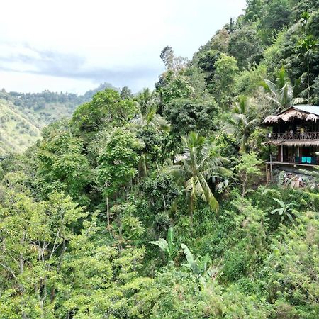 Naturewoodland إيلا المظهر الخارجي الصورة
