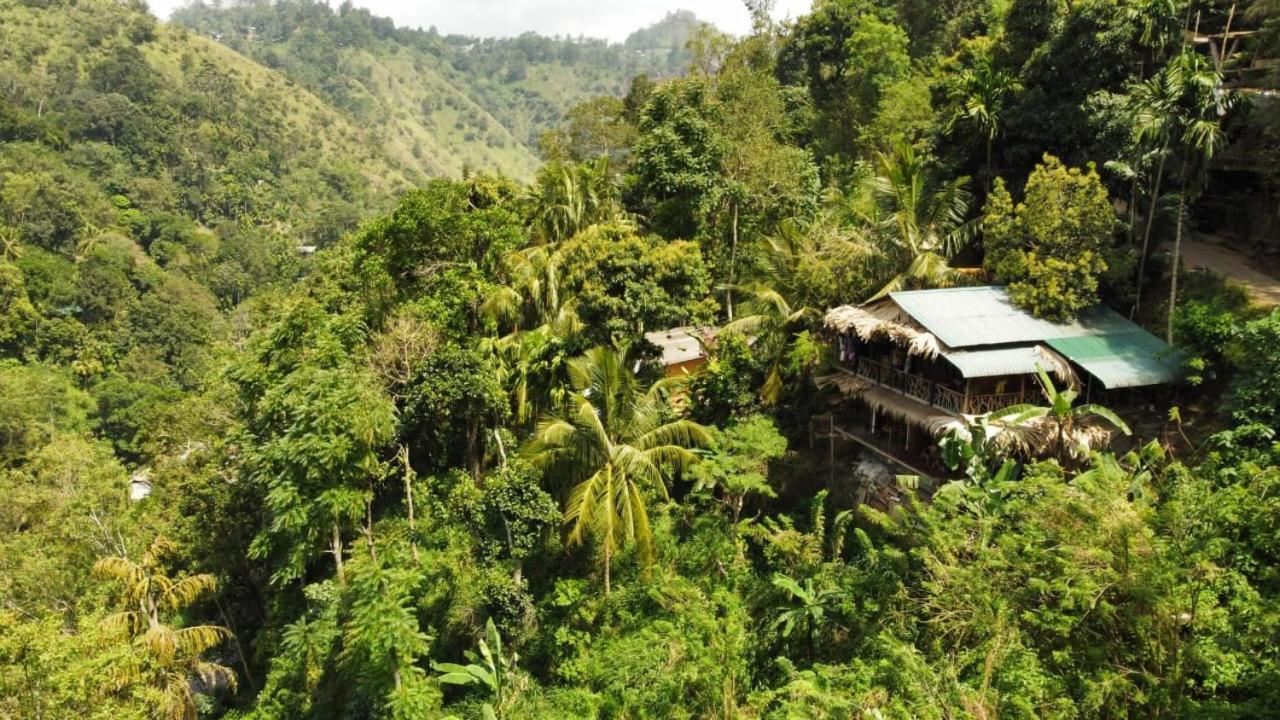 Naturewoodland إيلا المظهر الخارجي الصورة