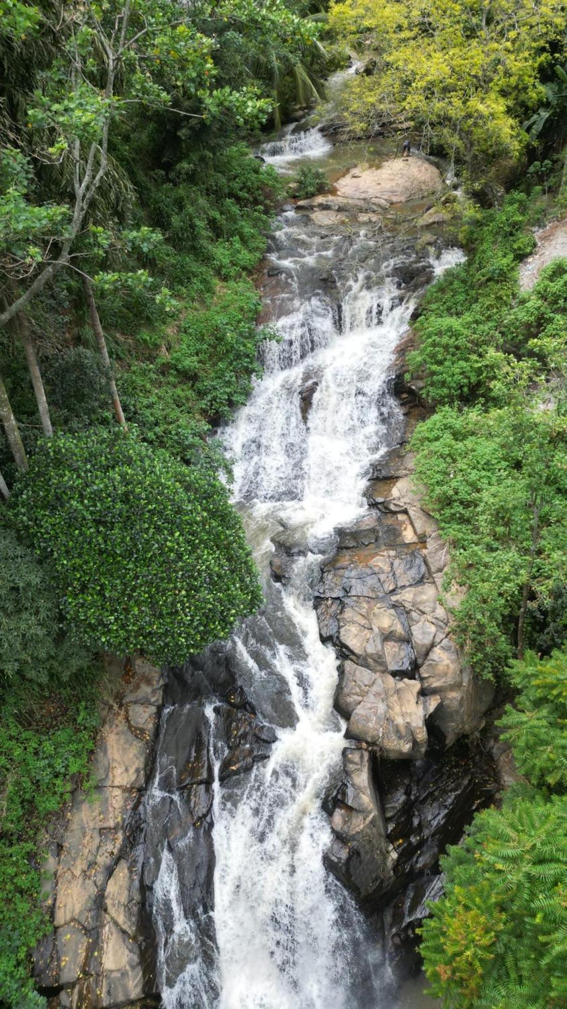 Naturewoodland إيلا المظهر الخارجي الصورة