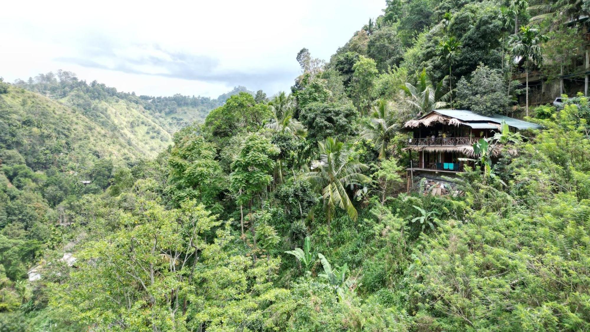 Naturewoodland إيلا المظهر الخارجي الصورة
