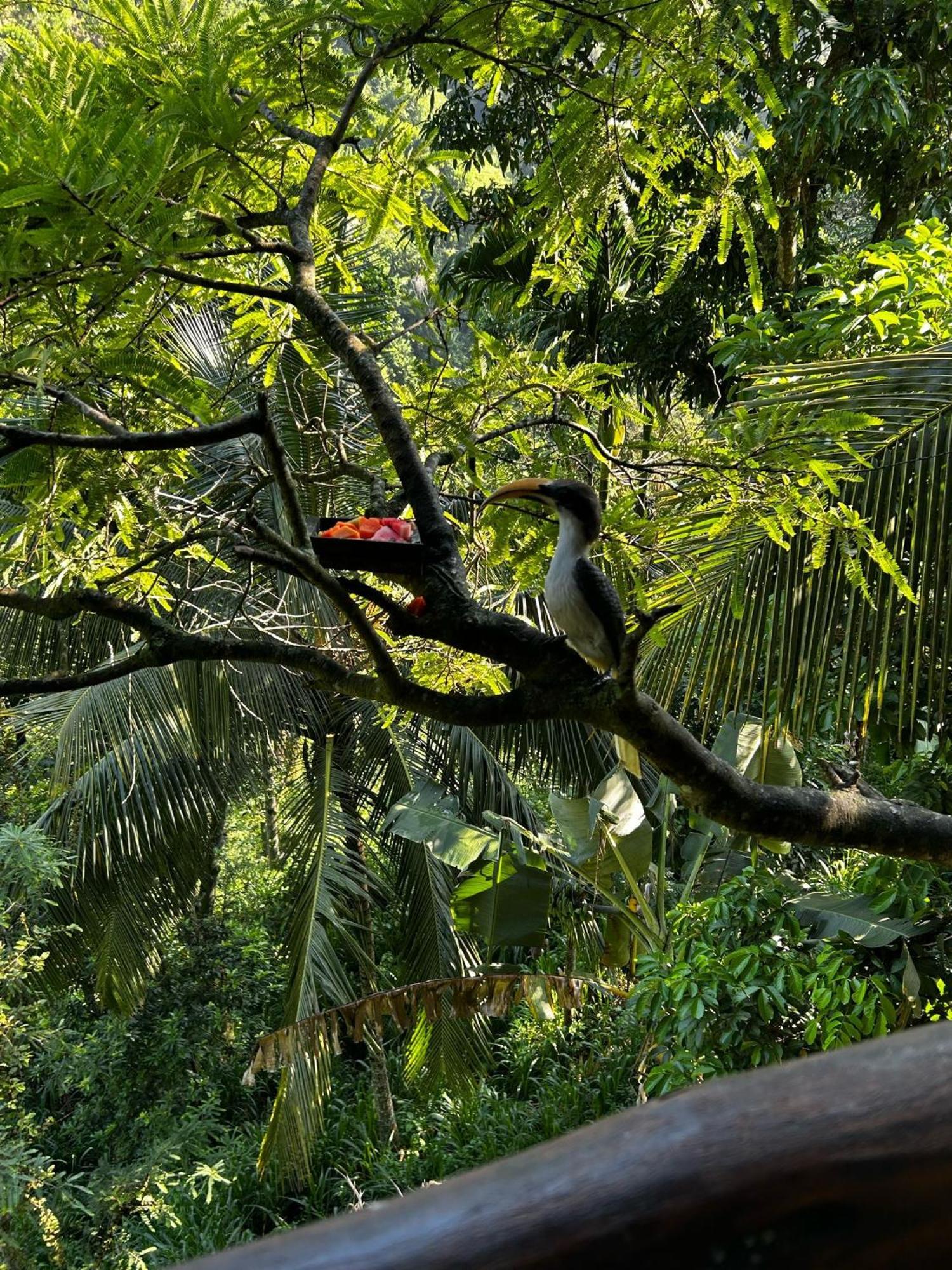 Naturewoodland إيلا المظهر الخارجي الصورة