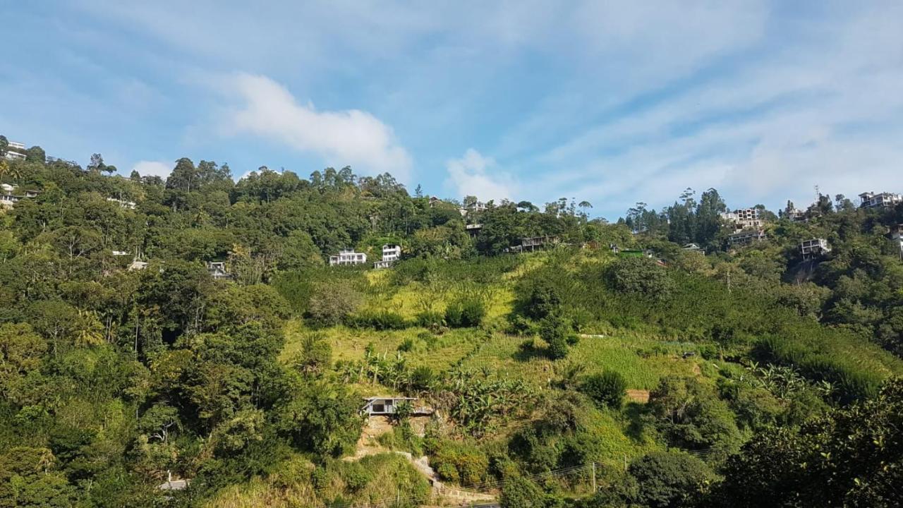Naturewoodland إيلا المظهر الخارجي الصورة